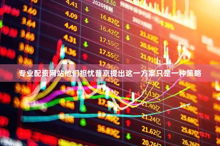 专业配资网站他们担忧普京提出这一方案只是一种策略